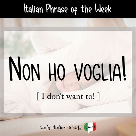 non ho voglia in inglese|non ho simile in italian.